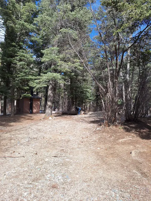 Lower Hondo Campground Picture 8