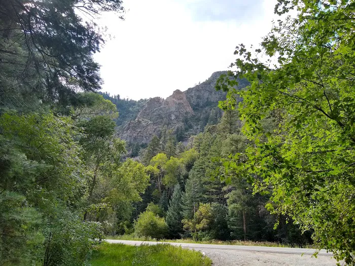 Lower Hondo Campground Picture 3