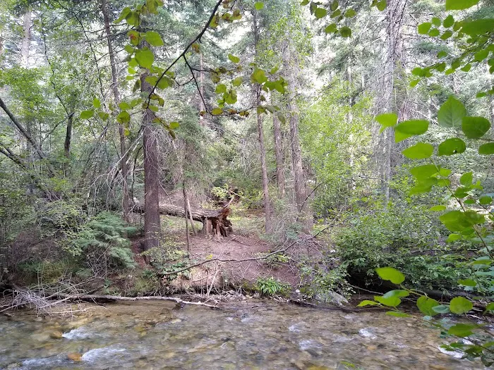 Lower Hondo Campground Picture 4