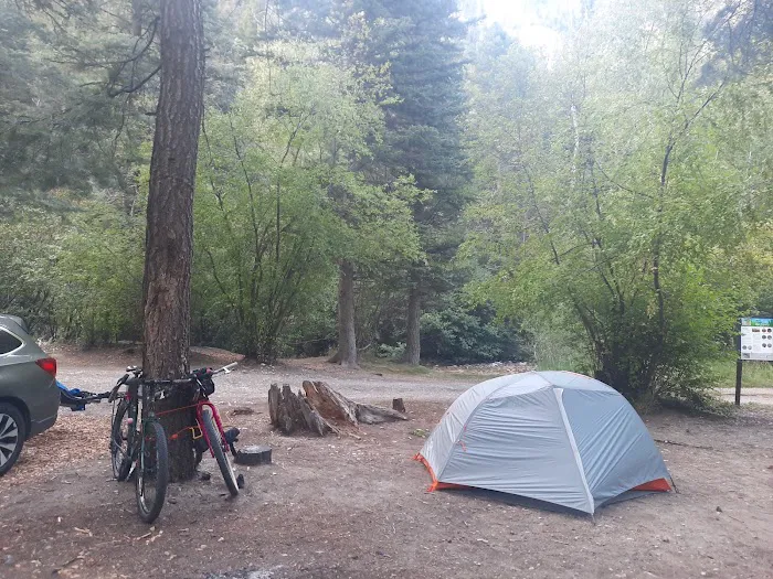 Lower Hondo Campground Picture 7