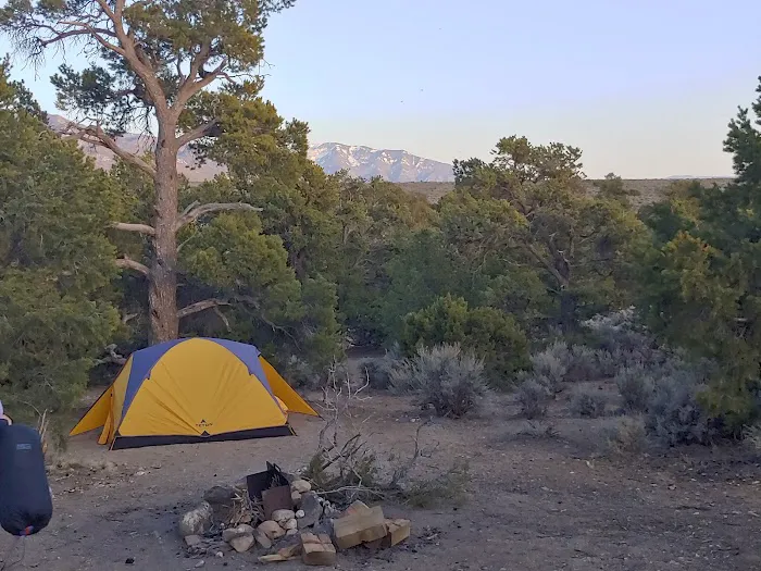 Cebolla Mesa Campground Picture 8