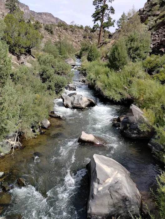 Cebolla Mesa Campground Picture 7