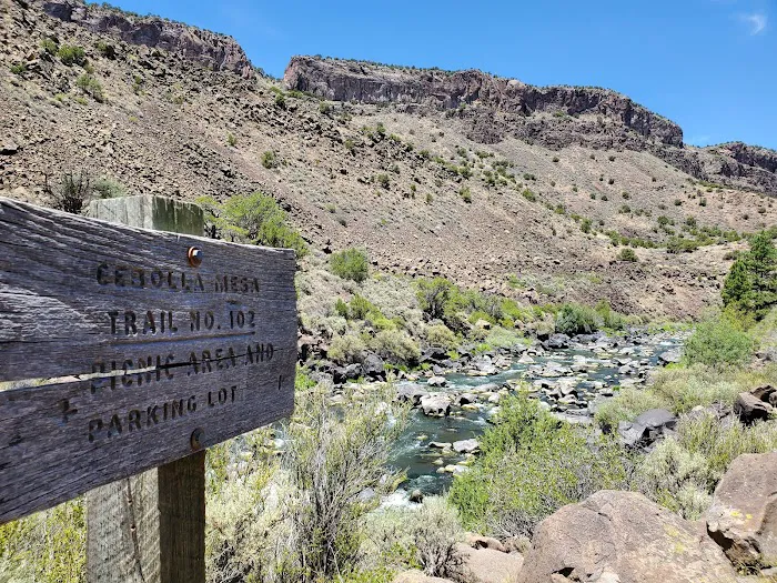 Cebolla Mesa Campground Picture 2