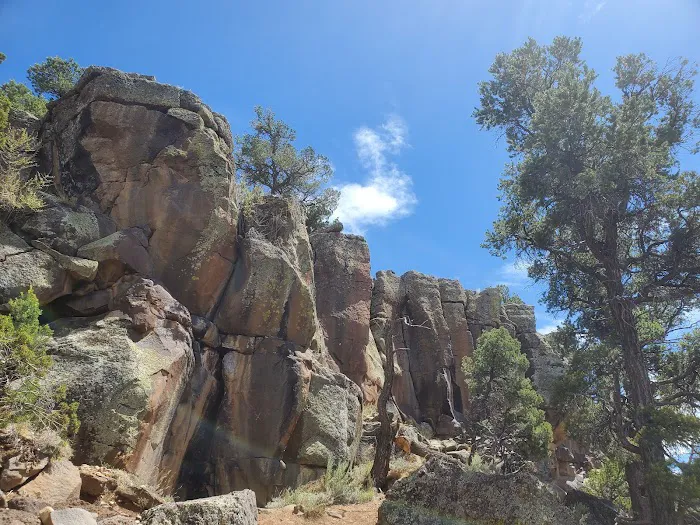 Cebolla Mesa Campground Picture 10