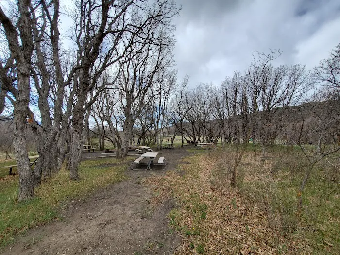 Gambel Oak Group Campground Picture 9
