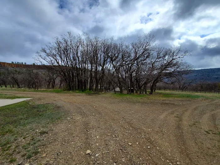 Gambel Oak Group Campground Picture 4