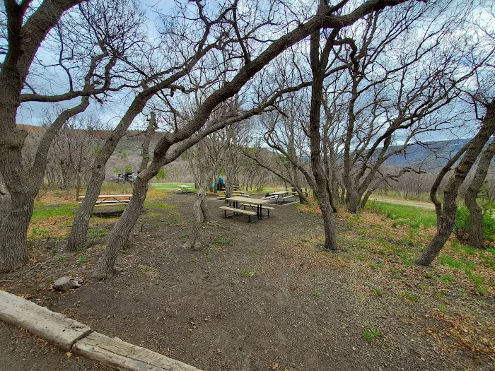 Gambel Oak Group Campground Picture 7