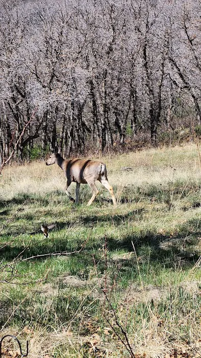 Soda Pocket Campground Picture 7