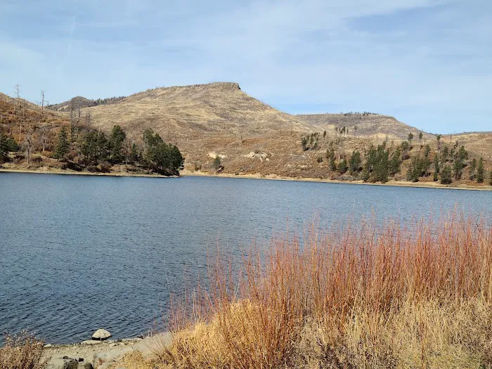 Lake Alice Campground Picture 4
