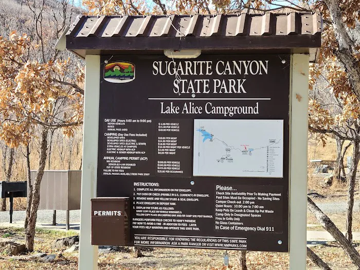 Lake Alice Campground Picture 5