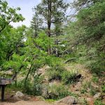 Lake Alice Campground