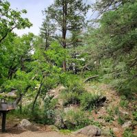 Lake Alice Campground ico
