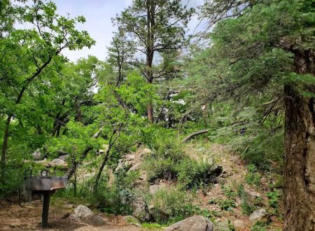 Lake Alice Campground