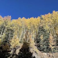 Priest Lake Campground ico