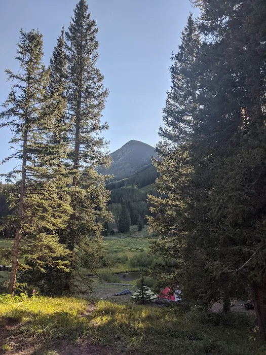 Priest Lake Campground Picture 9