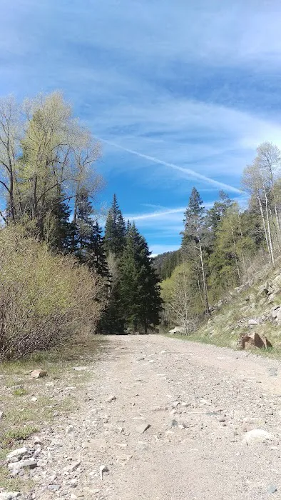 Lime Creek Campground Picture 3