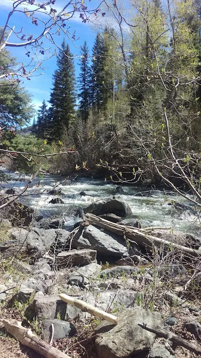 Lime Creek Campground Picture 6