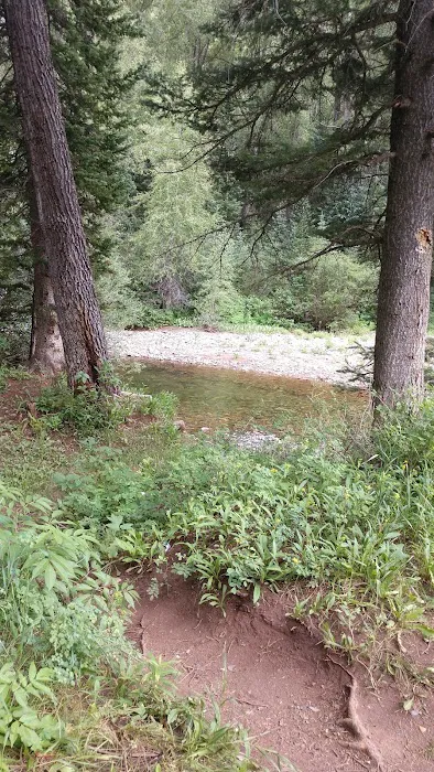 Lime Creek Campground Picture 1