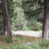 Lime Creek Campground ico