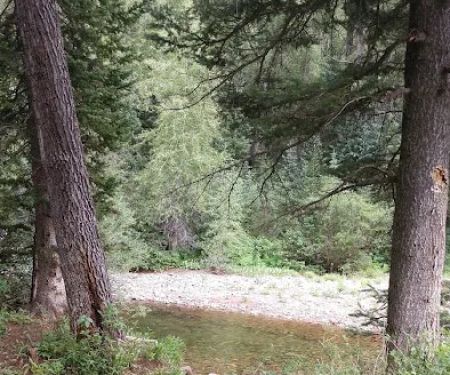 Lime Creek Campground