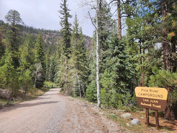 Pine River Campground Picture 5