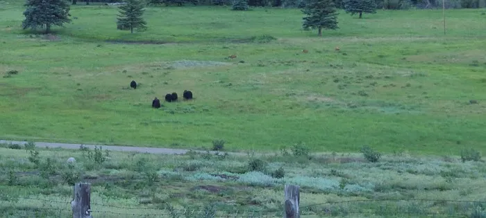 Pine River Campground Picture 10