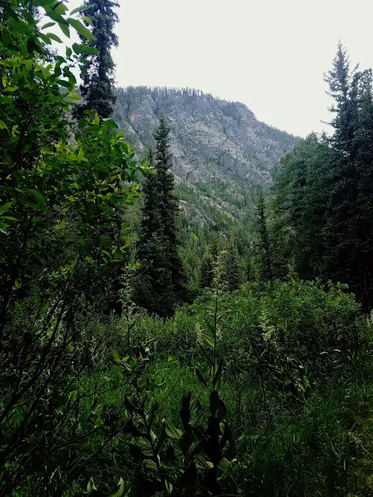 Pine River Campground Picture 4