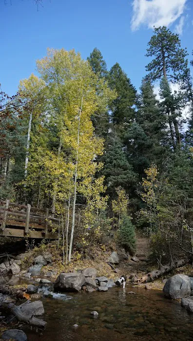 Vallecito Campground Picture 6