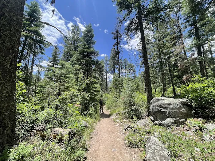 Vallecito Campground Picture 5