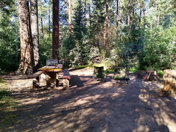 Vallecito Campground Picture 9