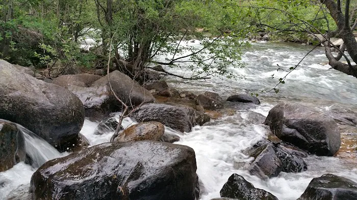 Vallecito Campground Picture 7