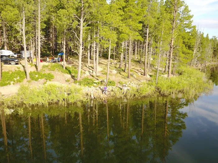 Pioneer Campground Picture 9