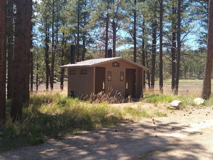 Pioneer Campground Picture 8