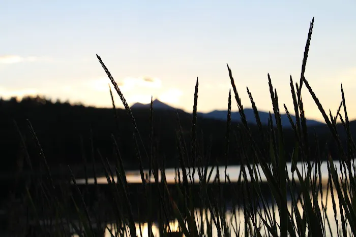 Pioneer Campground Picture 7