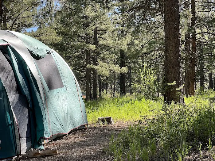 Pioneer Campground Picture 1