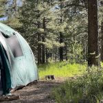 Pioneer Campground