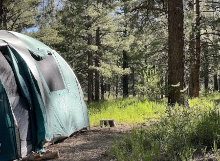 Pioneer Campground