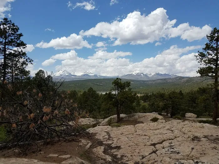 Buckeye Reservoir Picture 8