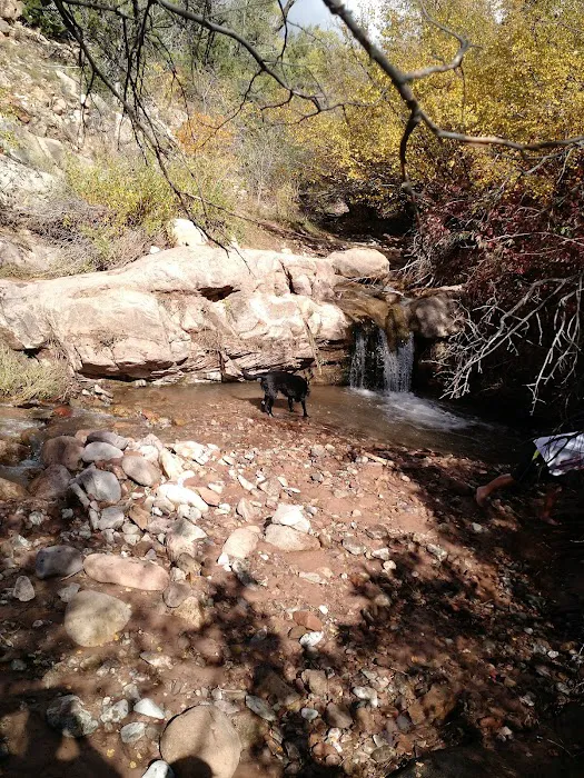 Rock Castle Campground Picture 8