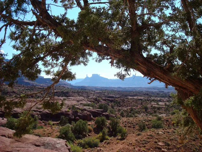 Fisher Towers Campground Picture 5