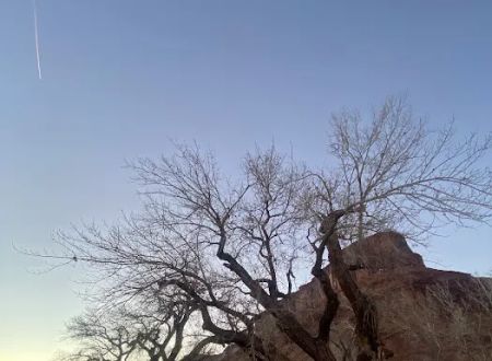 Hittle Bottom Campground