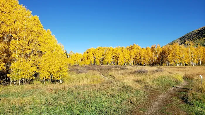 Warner Campground Picture 1