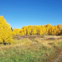 Warner Campground ico