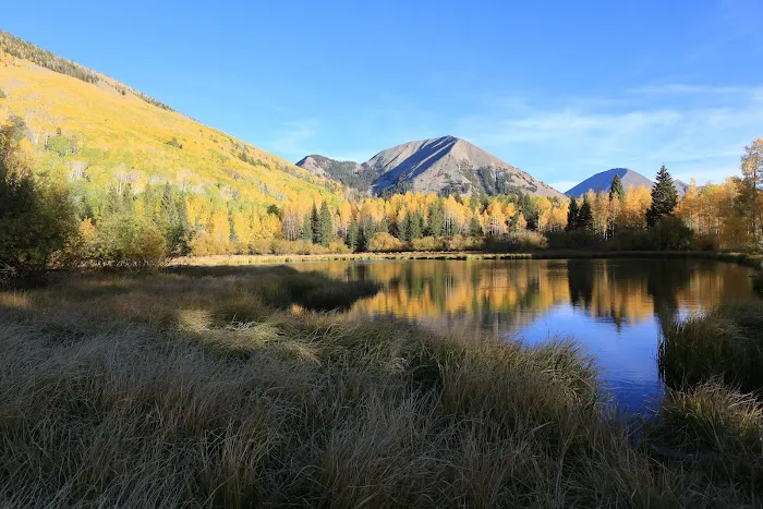 Warner Campground Picture 5