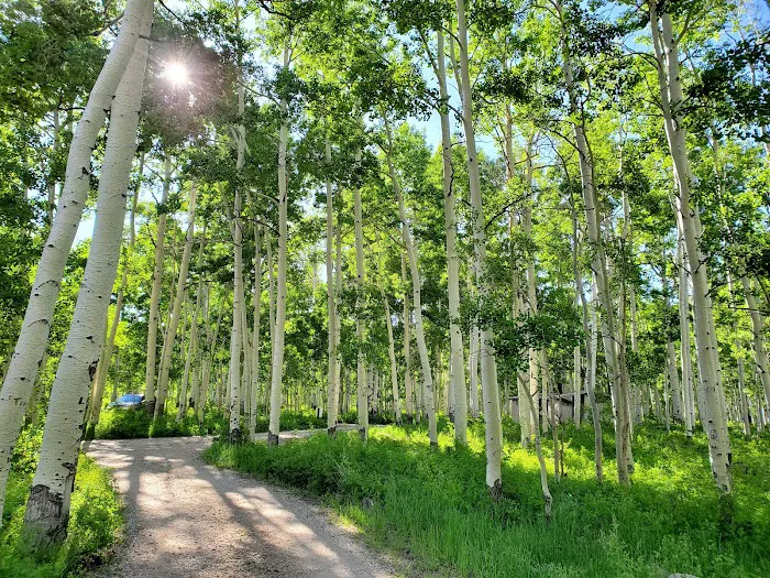 Warner Campground Picture 10
