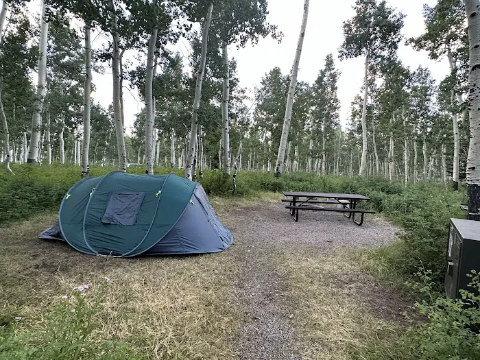 Warner Campground Picture 3