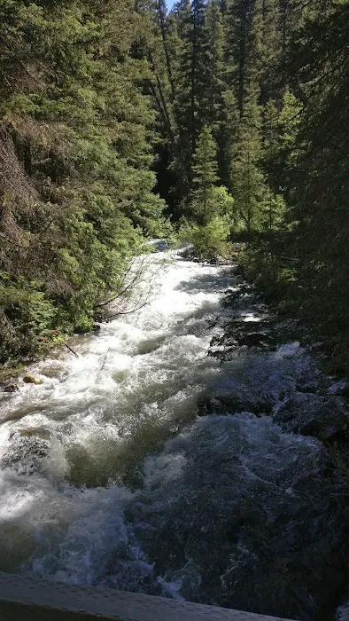 Burro Bridge Campground Picture 10