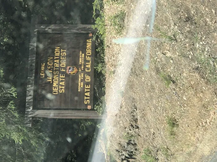Horse Camp Picture 2