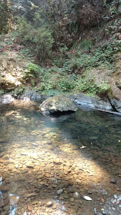 Big River Campground Picture 10