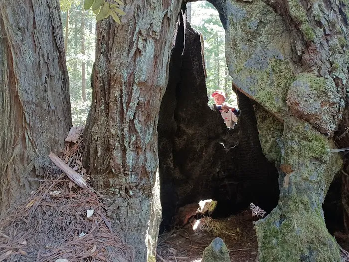 Big River Campground Picture 7